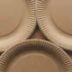 disposable plates guide