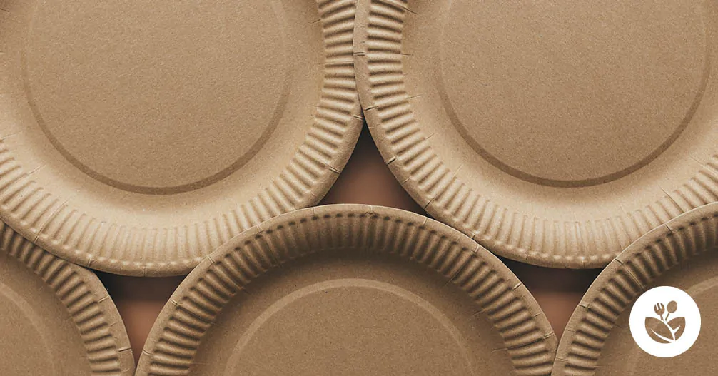disposable plates guide